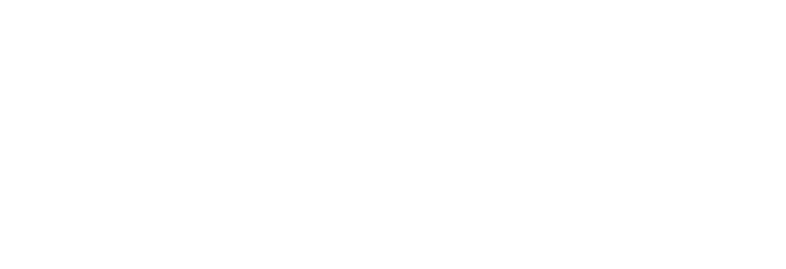 DirectVision Logo